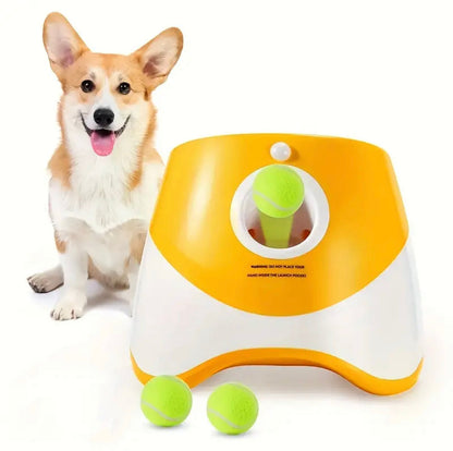 Dog Buddy
